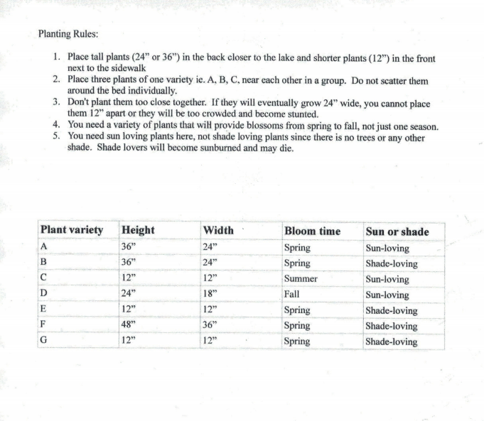 Bee garden planting rules