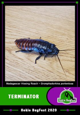 terminator trading card