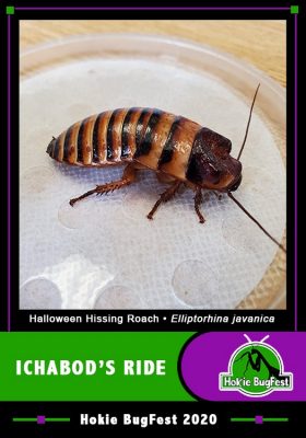 ichabod's ride trading card