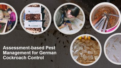 Assessment-based pest management for german cockroach control.