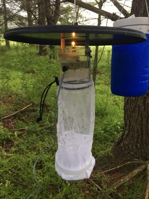 CDC light trap for capturing mosquitoes.