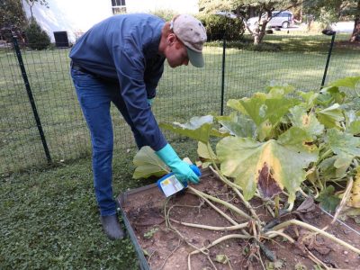 Person demonstrating a proper pesticide application.