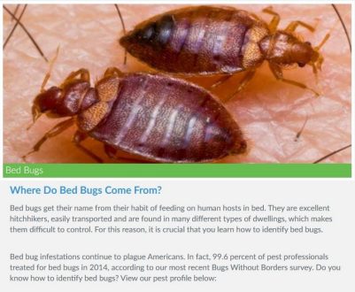 Photo and information about bed bugs.