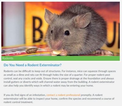 Photo and information about rodents.