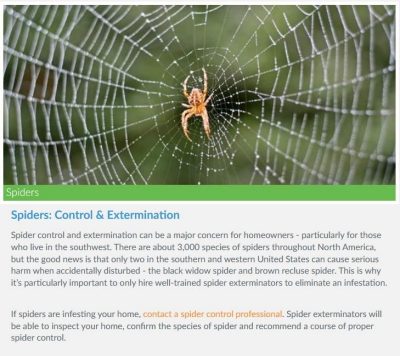Photo and information about spiders.