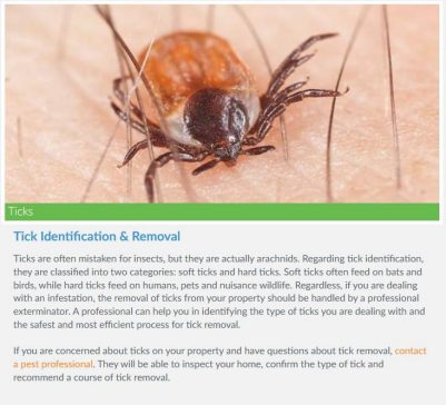 Photo and information about ticks.