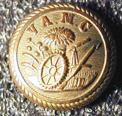 VAMC cadet button - 1890s