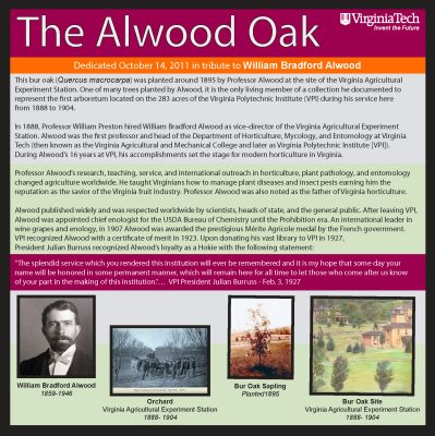 alwood oak plaque