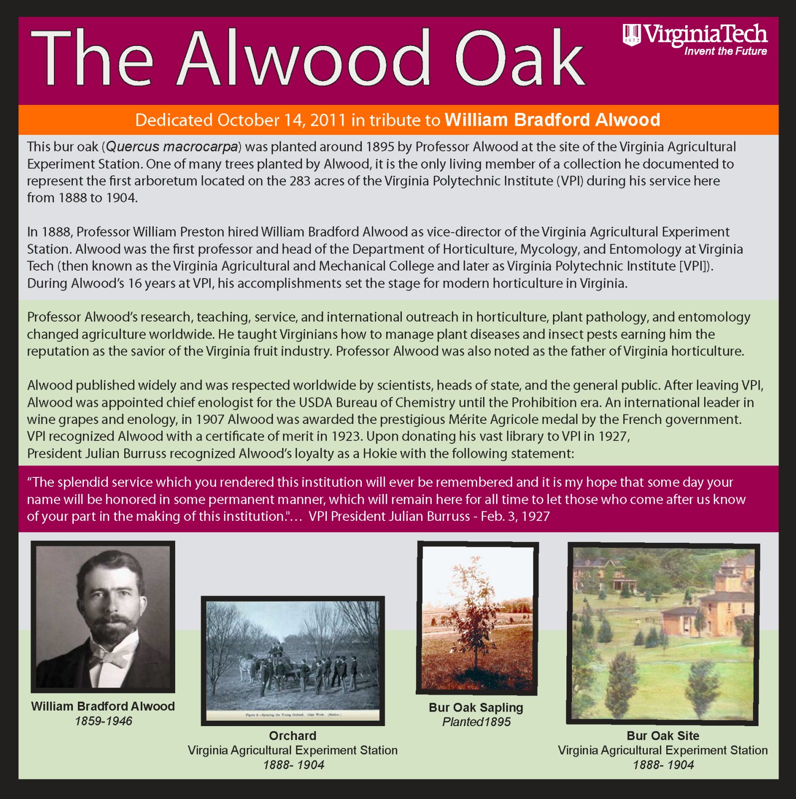 Alwood Oak information plaque, 2011