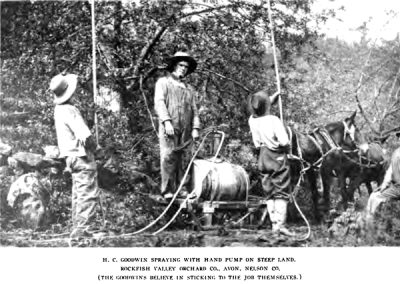 Nelson County Virginia fruit growers, 1913
