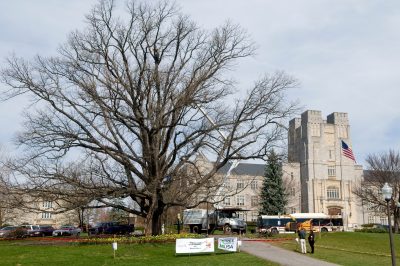alwood oak restoration 2011