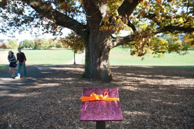 alwood oak dedication 2011