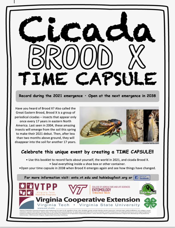 Cicada time capsule 2021 