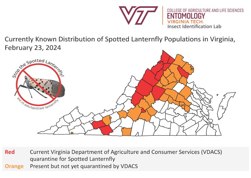 Spotted Lanternfly Map Virginia 