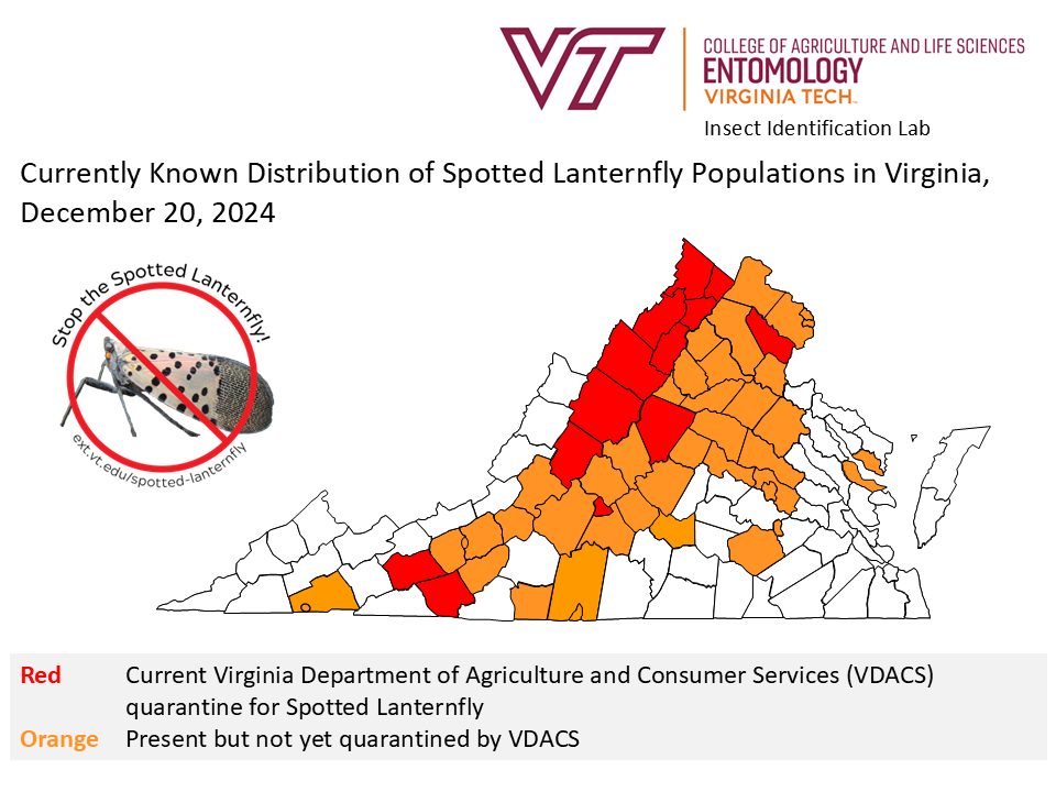 Spotted Lanternfly Virginia Map Department of Entomology Virginia Tech