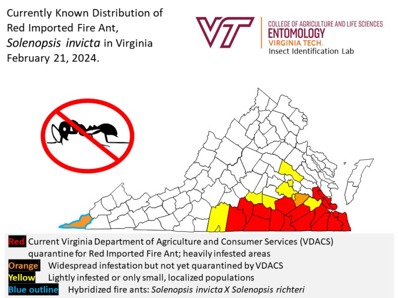 Red imported fire ant distribution map