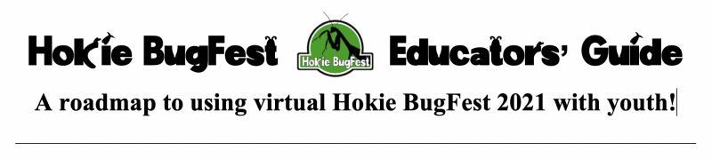 Welcome to the Hokie BugFest Educators Guide