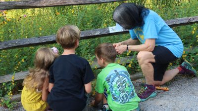 Close Encounters with Pollinators of the New River Valley