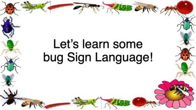 Don't Bug Us! We're Buzzy Learning New Signs!