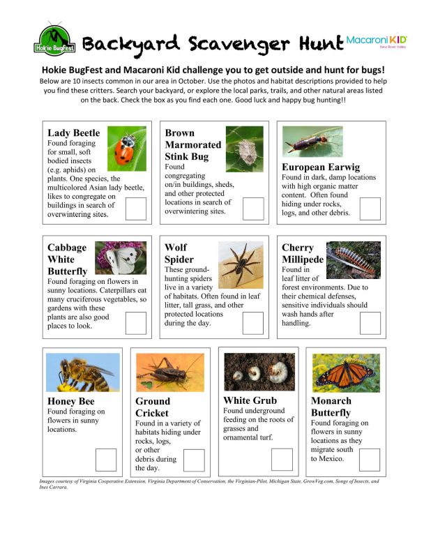 Image of the Hokie BugFest Scavenger Hunt Worksheet
