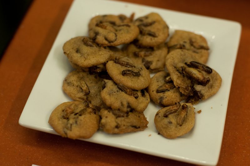 Cricket Cookies