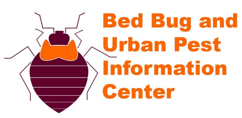 Urban lab logo with bug images in the background