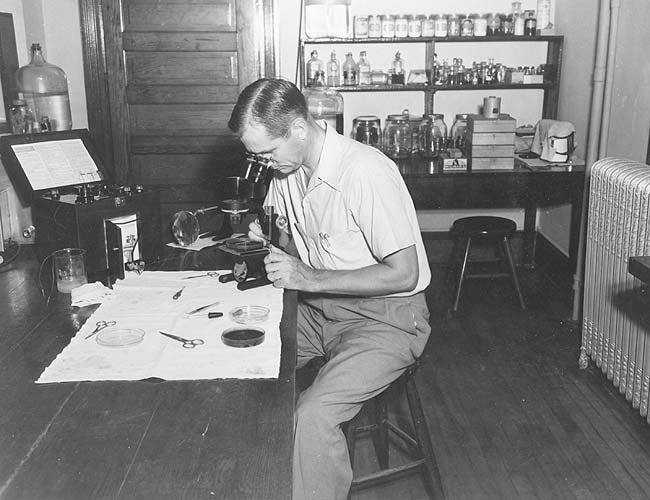 James Grayson, Father of Today's VT Entomology Department