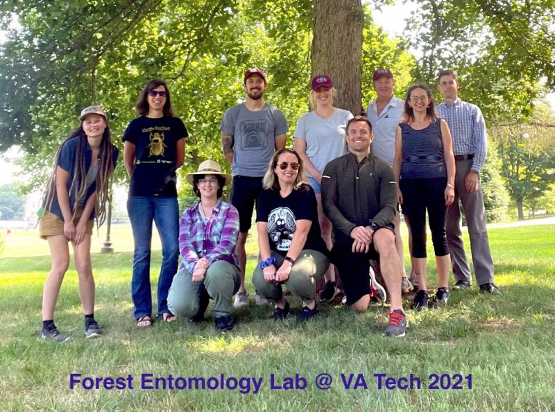 Forest Entomology Lab at Virginia Tech 2021